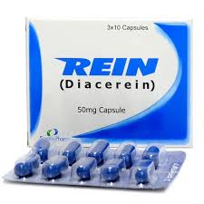 Rein